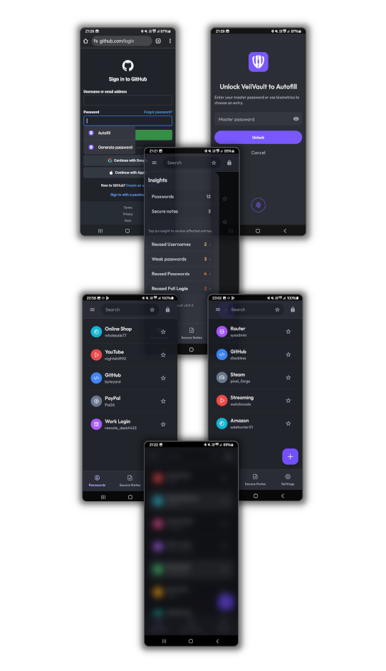 VeilVault visuals showing Autofill, Insights, Decoy Vault, and PanicHold